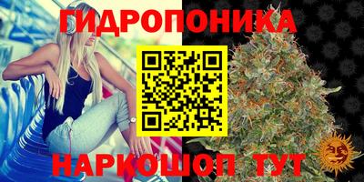 a pvp Пугачёв