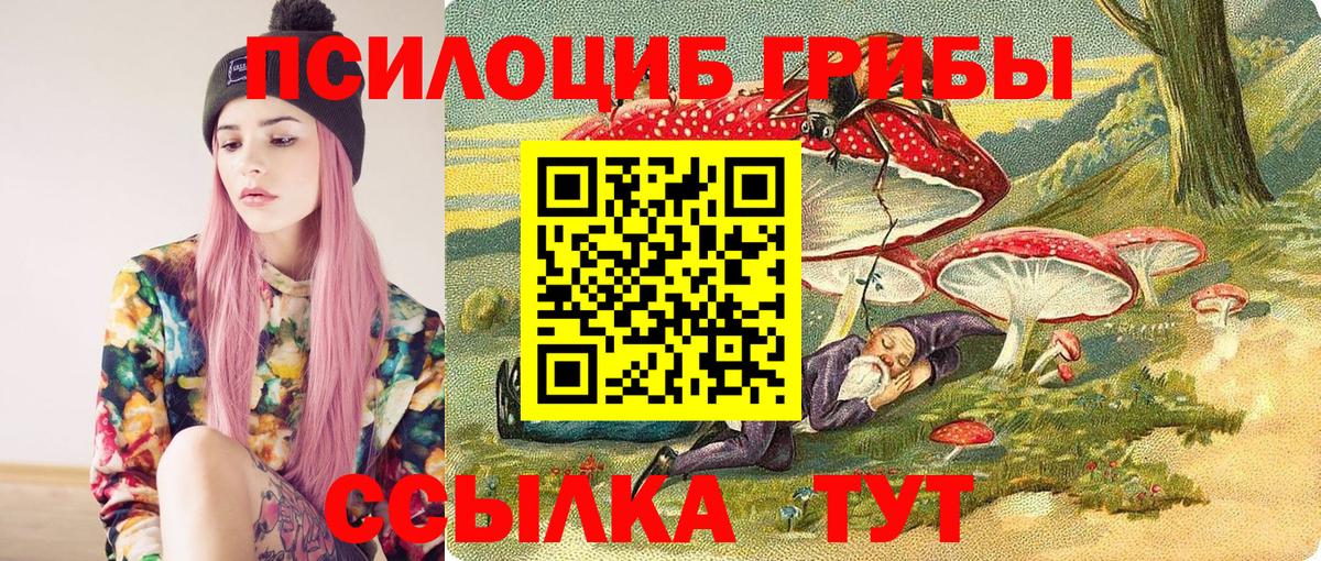Галлюциногенные грибы ЛСД  продажа наркотиков  Санкт-Петербург  Вход с VPN 
