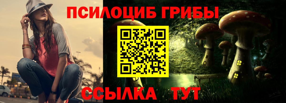 Псилоцибиновые грибы мицелий Санкт-Петербург